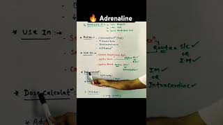 How to Administer🔥Adrenaline Injection Epinephrine Emergency AdrenalineInjection NursingSkills [upl. by Rednaxela]