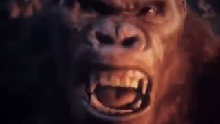 King Kong punches Ape Meme But Hes DONKEY KONG [upl. by Ensoll]