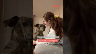 Las emotivas palabras que una joven le dedicó al perrito de sus sueños [upl. by Vicki291]