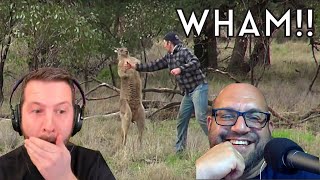 Americans React to Aussie Guy Squaring Up a Kangaroo [upl. by Oetam84]