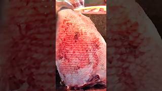 Big Black Tripletail Fish Cutting tripletailfish fishcuttingskills shorts shortvideo seafood [upl. by Reifinnej]