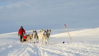 Finnmarksløpet 1000 km 2016  Full [upl. by Pevzner659]