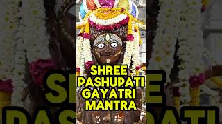 pashupati mantra 108 pashupatinath ka mantra gayatri mantra shorts viral gayatrimantra [upl. by Kano]