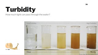 Turbidity Water Quality Parameters 7 [upl. by Seyah389]