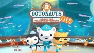 The Octonauts  November 19th at MPAC [upl. by Hammerskjold]