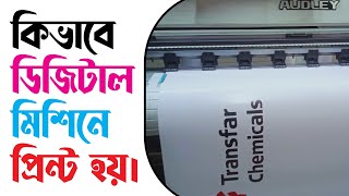 কিভাবে ডিজিটাল মিশিনে ব্যানার ফেস্টুন পিভিসি প্রিন্ট করা হয়  পিভিসি মেশিন  PVC machine [upl. by Ellehsem965]