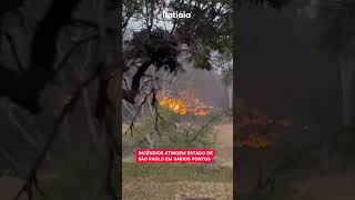 INCÊNDIOS ATINGEM ESTADO DE SÃO PAULO EM VÁRIOS PONTOS [upl. by Hintze]