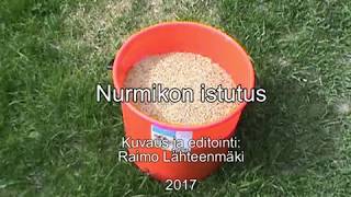 69 Nurmikon istutus [upl. by Simonsen]