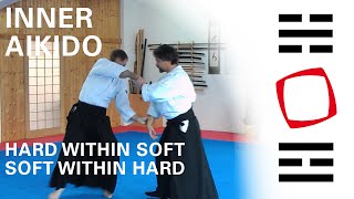 Aikido Hard within Soft  Soft within Hard  Seminar of Tanden Dojo Berlin Salzburg 2014 [upl. by Zzaj584]