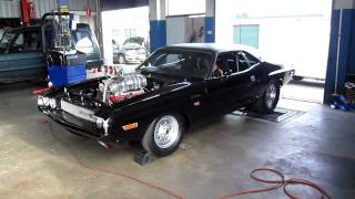 1600HP Dodge Challenger Dyno Run Australia [upl. by Deckert147]