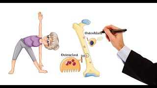 Pharmacology  DRUGS FOR OSTEOPOROSIS MADE EASY [upl. by Attah]