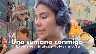 Vlog  Semana de exámenes finales en La Sorbonne volver a casa y despedidas 🎀💌📚 [upl. by Enilorac701]