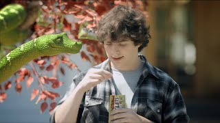 Rocklets Fiesta  Commercial Talking Animal Snake [upl. by Lessur]