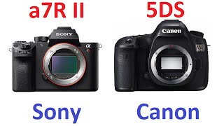 Sony a7R II vs Canon EOS 5DS [upl. by Acinoryt]