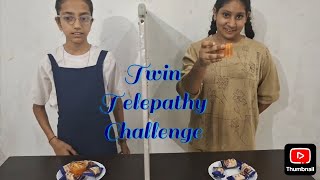 Twin telepathy challenge [upl. by Nylessoj]