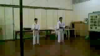 BASIC KIHON KATA 15 OKINAWA SHORIN RYU [upl. by Oeflein]