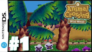 Lets Play Animal Crossing Wild World  Ep 1 [upl. by Lait493]