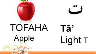 Arabic alphabet  Essential Words Every Arabic Beginner Must Know [upl. by Fraase]