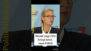 Weidel über die rotgrüne CDU [upl. by Glyn]