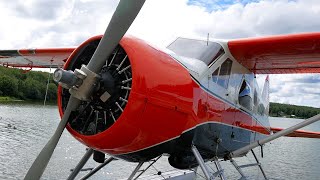 Pilots Dream DHC2 Beaver Left Seat Checkout  Why I went to Alaska [upl. by Dhu795]