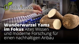 Sofa Event Pflanzenforschung  Wunderwurzel Yams im Fokus [upl. by Steele790]