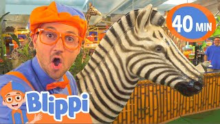 Blippi Learns Jungle Animals  Animals For Kids  Educational Videos For Children [upl. by Alsworth]