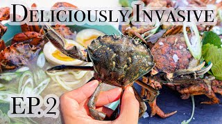 Deliciously Invasive Ep2 European Green Crab as Sustainable Food Source [upl. by Elaen264]