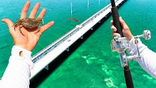 GREATEST Fishing Spot On Earth Extreme Florida Keys Bridge Fishing [upl. by Akirret]