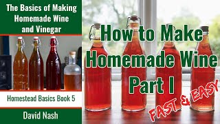 How to Make Homemade Wine  Fast Easy And Cheap Wine  Perfect for Beginners  Part I [upl. by Enehs]