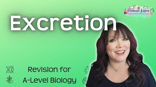 Excretion  Revision for Biology ALevel [upl. by Mount408]