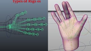 Maya 3D  Rigging  Hand Skeleton  Part 1  Single Controller Rig [upl. by Ranitta]