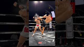 Feint  Round kick 🔥 kickboxing muaythai mma [upl. by Novick42]