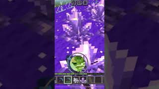 Minecraft Kitty The Mime’s Amethyst Farm [upl. by Anyah729]