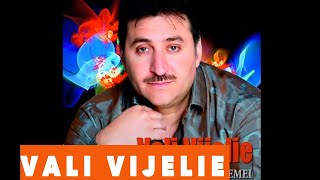 Vali Vijelie  Sa iubesti doua femei Hit Audio [upl. by Ayra]