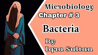 Bacteria Classification of Bacteria amp Structure of Bacteria Microbiology B Pharmacy 1st year [upl. by Ecydnak]