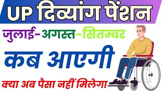 Divyang Pension Kab Aayegi  विकलांग पेंशन कब आएगी  Divyang Pension Ka Paisa Kab Aayega [upl. by Hannis]