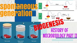 SPONTANEOUS GENERATION IN DETAIL WITH NOTES BIOGENESISEXPLAIN IN  HINDI [upl. by Eseyt]