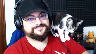 ¡Presento a Mi Gato en Directo Sale Mal [upl. by Arbmat]