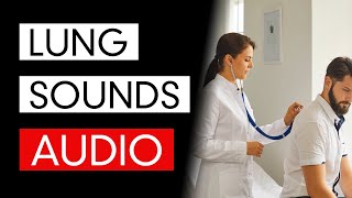 Lung Sounds  Audio COVID19 Pneumonia Included [upl. by Annecorinne222]