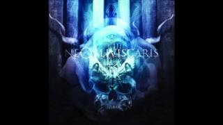 Ne Obliviscaris  Cynosure [upl. by Ahseneuq]