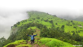 033 ❤️ tiring MATHERAN range Trek  Rambaug Point to Garbett Point trek [upl. by Tallbot115]