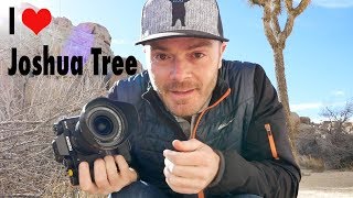 I Heart J Tree  Landscape Photography in Joshua Tree National Park [upl. by Carlton287]