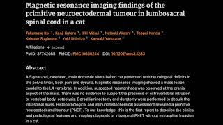 21 MRI of primitive neuroectodermal tumour in lumbosacral spinal cord in a cat [upl. by Stephanus]