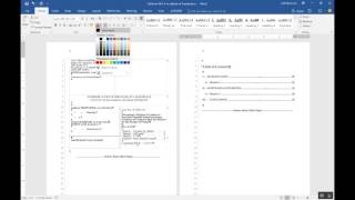 Page Numbering with a Table of Contents and Table of Authorities in Word 2016 [upl. by Eentroc]