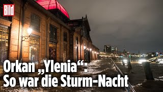 UnwetterWarnung Orkan „Ylenia“ fegt über Deutschland  BILD Live [upl. by Olzsal699]