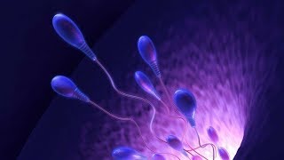 Gametogenesis part 1  Spermatogenesis [upl. by Alene253]