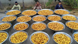 10000 SAMOSA  Street Samosa recipe  Indian Recipes  Perfect Samosa  Potato Recipes [upl. by Rego]