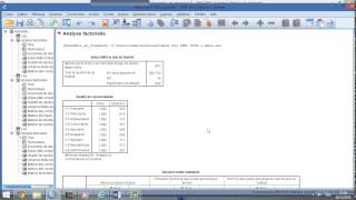 Analyse factorielle exploratoire ACP sur SPSS [upl. by Akenahs428]