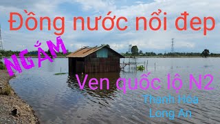 Con đường đá dăm ngắm đồng nước nổi tuyệt đẹp ven quốc lộ N2 long an [upl. by Gilroy]