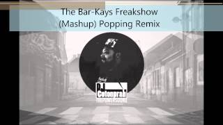 The BarKays Freakshow On The Dance Floor Mashup Popping Remix [upl. by Edson]